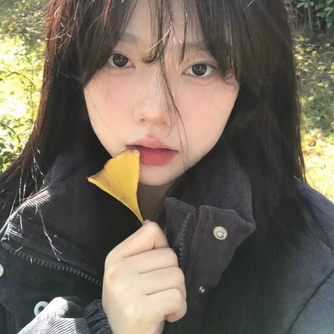 遥远的北方 高清封面